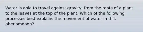 Water is able to travel against gravity, from the roots of a plant to the leaves at the top of the plant. Which of the following processes best explains the movement of water in this phenomenon?