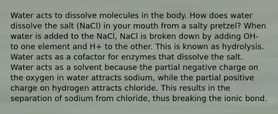 Water acts to dissolve molecules in the body. How does water dissolve the salt (NaCl) in your mouth from a salty pretzel? When water is added to the NaCl, NaCl is broken down by adding OH- to one element and H+ to the other. This is known as hydrolysis. Water acts as a cofactor for enzymes that dissolve the salt. Water acts as a solvent because the partial negative charge on the oxygen in water attracts sodium, while the partial positive charge on hydrogen attracts chloride. This results in the separation of sodium from chloride, thus breaking the ionic bond.