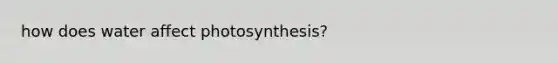 how does water affect photosynthesis?