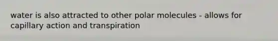 water is also attracted to other polar molecules - allows for capillary action and transpiration