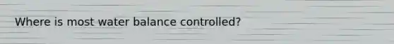 Where is most water balance controlled?