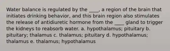 Water balance is regulated by the ____, a region of the brain that initiates drinking behavior, and this brain region also stimulates the release of antidiuretic hormone from the ____ gland to trigger the kidneys to reabsorb water. a. hypothalamus; pituitary b. pituitary; thalamus c. thalamus; pituitary d. hypothalamus; thalamus e. thalamus; hypothalamus