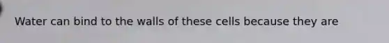 Water can bind to the walls of these cells because they are