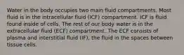 Water in the body occupies two main fluid compartments. Most fluid is in the intracellular fluid (ICF) compartment. ICF is fluid found inside of cells. The rest of our body water is in the extracellular fluid (ECF) compartment. The ECF consists of plasma and interstitial fluid (IF), the fluid in the spaces between tissue cells.