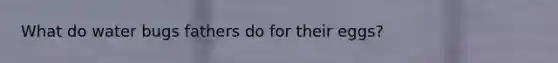 What do water bugs fathers do for their eggs?