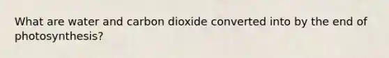 What are water and carbon dioxide converted into by the end of photosynthesis?