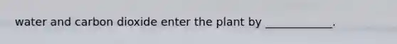 water and carbon dioxide enter the plant by ____________.