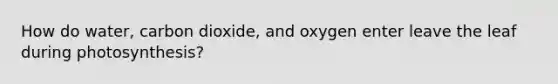 How do water, carbon dioxide, and oxygen enter leave the leaf during photosynthesis?