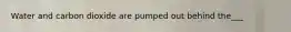 Water and carbon dioxide are pumped out behind the___