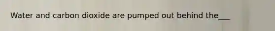 Water and carbon dioxide are pumped out behind the___