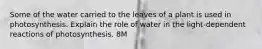 Some of the water carried to the leaves of a plant is used in photosynthesis. Explain the role of water in the light-dependent reactions of photosynthesis. 8M