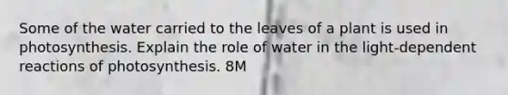 Some of the water carried to the leaves of a plant is used in photosynthesis. Explain the role of water in the light-dependent reactions of photosynthesis. 8M