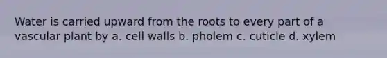 Water is carried upward from the roots to every part of a vascular plant by a. cell walls b. pholem c. cuticle d. xylem