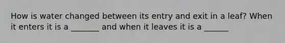 How is water changed between its entry and exit in a leaf? When it enters it is a _______ and when it leaves it is a ______