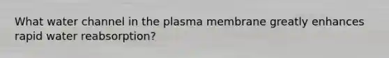 What water channel in the plasma membrane greatly enhances rapid water reabsorption?