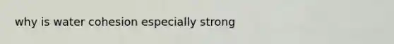 why is water cohesion especially strong