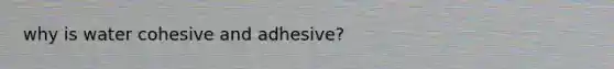 why is water cohesive and adhesive?