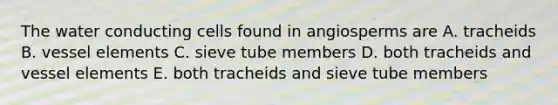 The water conducting cells found in angiosperms are A. tracheids B. vessel elements C. sieve tube members D. both tracheids and vessel elements E. both tracheids and sieve tube members