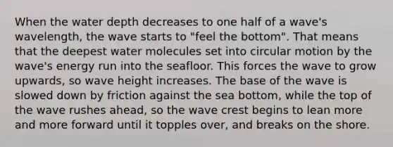 When the water depth decreases to one half of a wave's wavelength, the wave starts to "feel the bottom". That means that the deepest water molecules set into circular motion by the wave's energy run into the seafloor. This forces the wave to grow upwards, so wave height increases. The base of the wave is slowed down by friction against the sea bottom, while the top of the wave rushes ahead, so the wave crest begins to lean more and more forward until it topples over, and breaks on the shore.