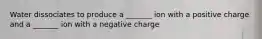 Water dissociates to produce a _______ ion with a positive charge and a _______ ion with a negative charge