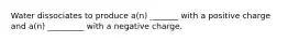 Water dissociates to produce a(n) _______ with a positive charge and a(n) _________ with a negative charge.