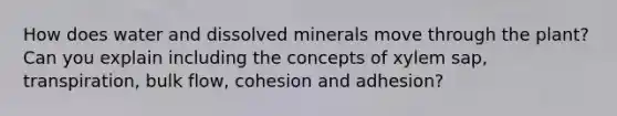 How does water and dissolved minerals move through the plant? Can you explain including the concepts of xylem sap, transpiration, bulk flow, cohesion and adhesion?