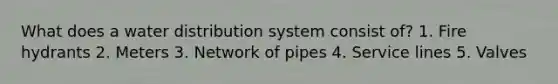 What does a water distribution system consist of? 1. Fire hydrants 2. Meters 3. Network of pipes 4. Service lines 5. Valves