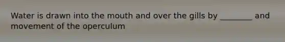 Water is drawn into the mouth and over the gills by ________ and movement of the operculum