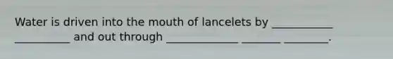 Water is driven into the mouth of lancelets by ___________ __________ and out through _____________ _______ ________.