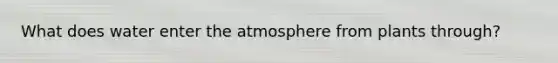 What does water enter the atmosphere from plants through?