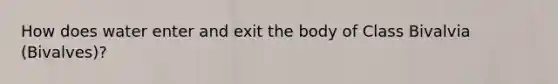 How does water enter and exit the body of Class Bivalvia (Bivalves)?