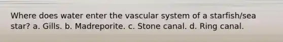 Where does water enter the vascular system of a starfish/sea star? a. Gills. b. Madreporite. c. Stone canal. d. Ring canal.