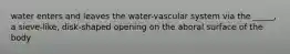 water enters and leaves the water-vascular system via the _____, a sieve-like, disk-shaped opening on the aboral surface of the body