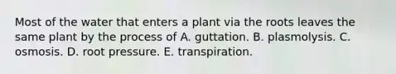 Most of the water that enters a plant via the roots leaves the same plant by the process of A. guttation. B. plasmolysis. C. osmosis. D. root pressure. E. transpiration.