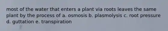 most of the water that enters a plant via roots leaves the same plant by the process of a. osmosis b. plasmolysis c. root pressure d. guttation e. transpiration