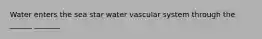 Water enters the sea star water vascular system through the ______ _______