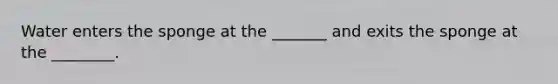 Water enters the sponge at the _______ and exits the sponge at the ________.