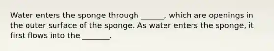 Water enters the sponge through ______, which are openings in the outer surface of the sponge. As water enters the sponge, it first flows into the _______.