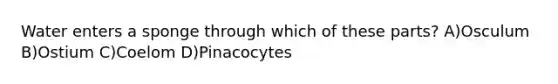 Water enters a sponge through which of these parts? A)Osculum B)Ostium C)Coelom D)Pinacocytes