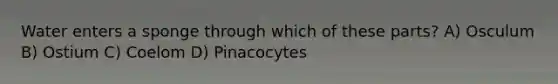 Water enters a sponge through which of these parts? A) Osculum B) Ostium C) Coelom D) Pinacocytes