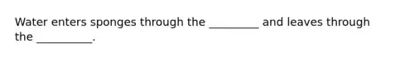 Water enters sponges through the _________ and leaves through the __________.