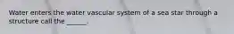 Water enters the water vascular system of a sea star through a structure call the ______.