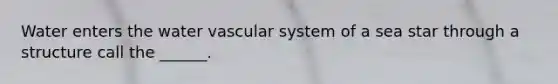 Water enters the water vascular system of a sea star through a structure call the ______.