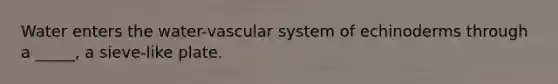 Water enters the water-vascular system of echinoderms through a _____, a sieve-like plate.