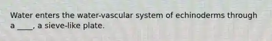 Water enters the water-vascular system of echinoderms through a ____, a sieve-like plate.