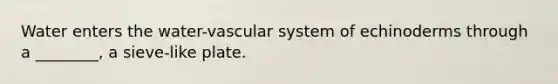 Water enters the water-vascular system of echinoderms through a ________, a sieve-like plate.