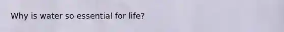Why is water so essential for life?