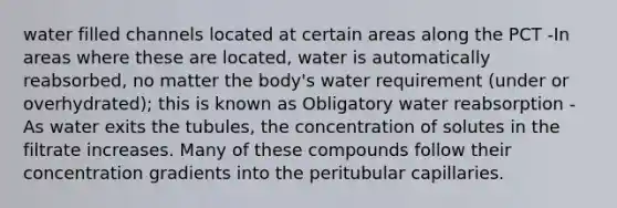 water filled channels located at certain areas along the PCT -In areas where these are located, water is automatically reabsorbed, no matter the body's water requirement (under or overhydrated); this is known as Obligatory water reabsorption -As water exits the tubules, the concentration of solutes in the filtrate increases. Many of these compounds follow their concentration gradients into the peritubular capillaries.