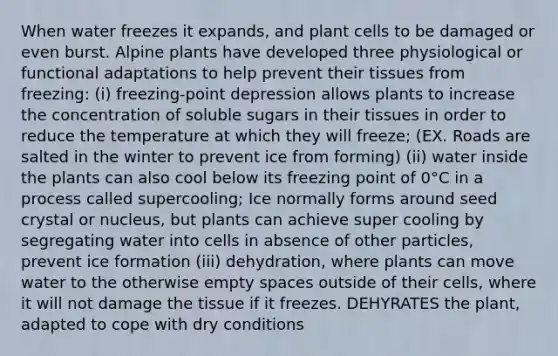 When water freezes it expands, and plant cells to be damaged or even burst. Alpine plants have developed three physiological or functional adaptations to help prevent their tissues from freezing: (i) freezing-point depression allows plants to increase the concentration of soluble sugars in their tissues in order to reduce the temperature at which they will freeze; (EX. Roads are salted in the winter to prevent ice from forming) (ii) water inside the plants can also cool below its freezing point of 0°C in a process called supercooling; Ice normally forms around seed crystal or nucleus, but plants can achieve super cooling by segregating water into cells in absence of other particles, prevent ice formation (iii) dehydration, where plants can move water to the otherwise empty spaces outside of their cells, where it will not damage the tissue if it freezes. DEHYRATES the plant, adapted to cope with dry conditions