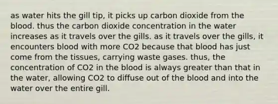 as water hits the gill tip, it picks up carbon dioxide from the blood. thus the carbon dioxide concentration in the water increases as it travels over the gills. as it travels over the gills, it encounters blood with more CO2 because that blood has just come from the tissues, carrying waste gases. thus, the concentration of CO2 in the blood is always greater than that in the water, allowing CO2 to diffuse out of the blood and into the water over the entire gill.